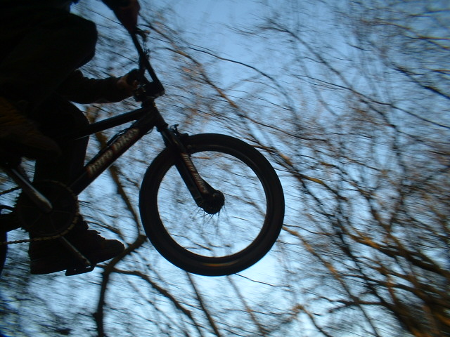 silouette016.jpg